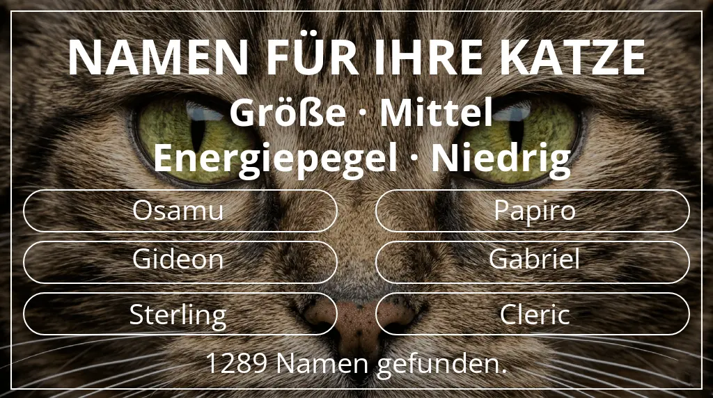 Katzennamen inspiriert von größe mittel und energiepegel niedrig