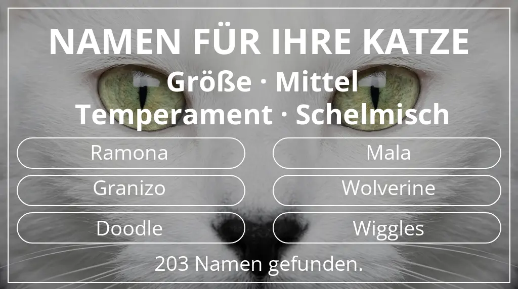Namen für Katzen inspiriert von größe mittel und temperament schelmisch