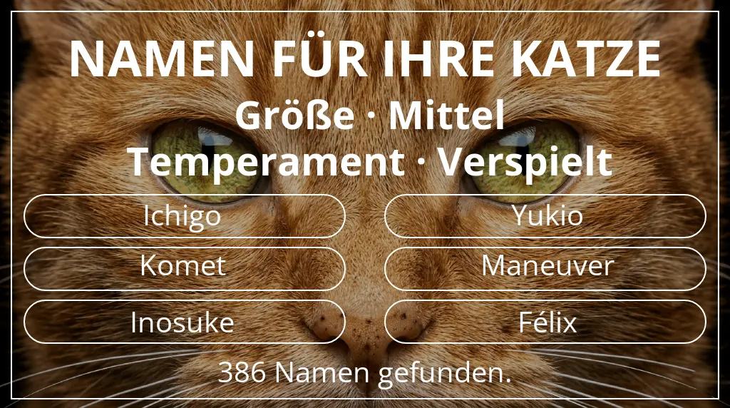 Katzennamen inspiriert von größe mittel und temperament verspielt