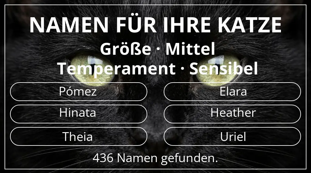 Namen für Katzen inspiriert von größe mittel und temperament sensibel