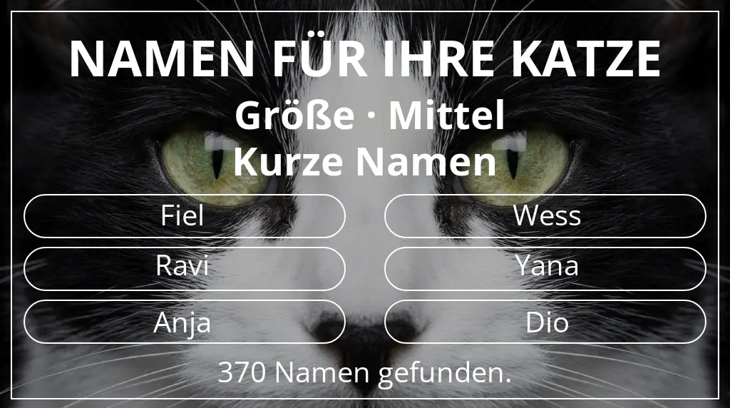 Katzennamen inspiriert von größe mittel und namenslänge kurz (2–4)