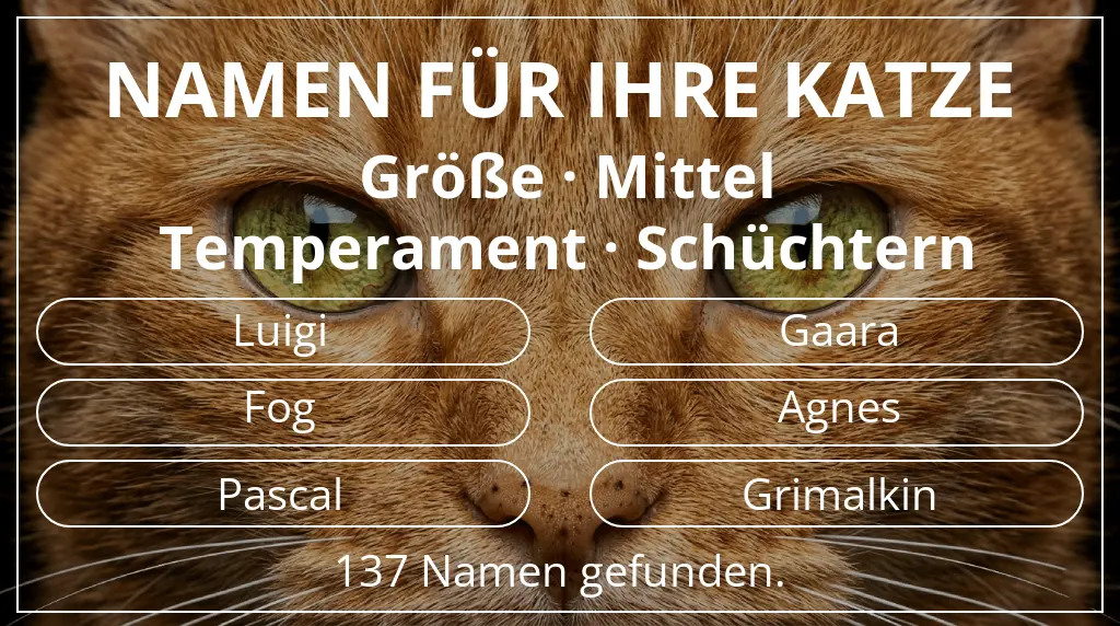 Namen für Katzen basierend auf größe mittel und temperament schüchtern
