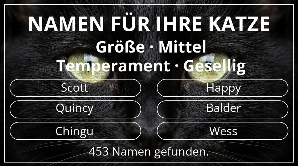 Namen für Katzen inspiriert von größe mittel und temperament gesellig