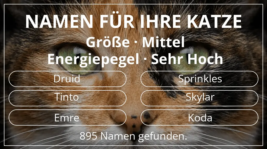Namen für Katzen passend zu größe mittel und energiepegel sehr hoch