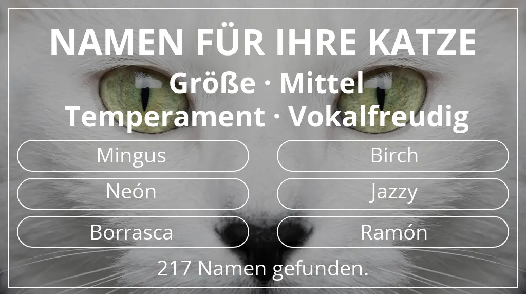 Namen für Katzen passend zu größe mittel und temperament vokalfreudig