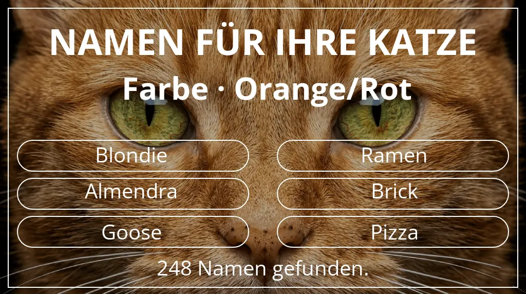Namen für Katzen passend zu farbe orange/rot