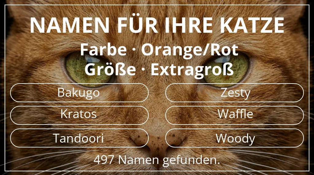 Katzennamen basierend auf farbe orange/rot und größe extragroß
