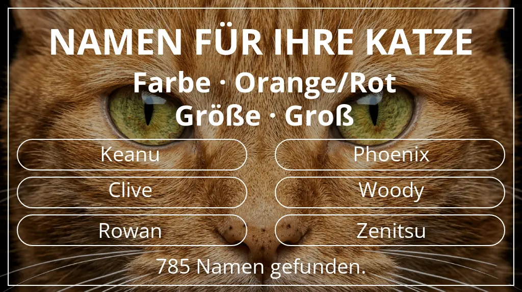 Namen für Katzen basierend auf farbe orange/rot und größe groß