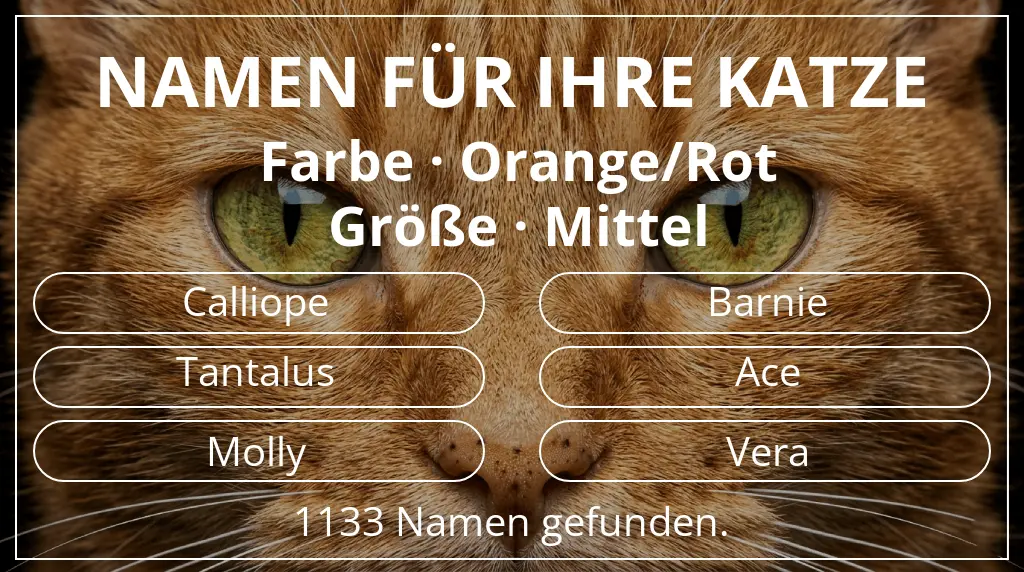Namen für Katzen basierend auf farbe orange/rot und größe mittel