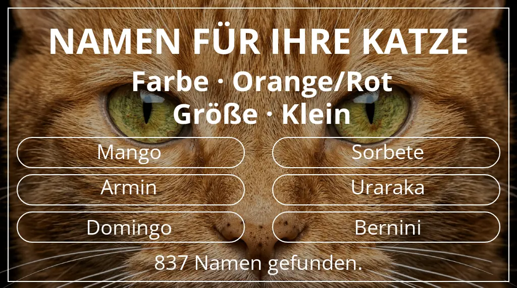 Namen für Katzen inspiriert von farbe orange/rot und größe klein
