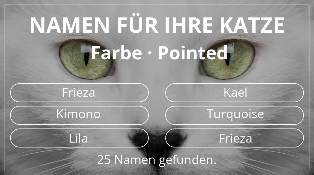 Katzennamen basierend auf farbe pointed