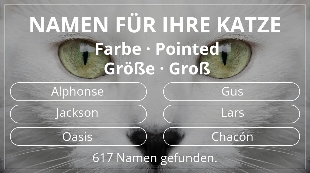 Namen für Katzen basierend auf farbe pointed und größe groß