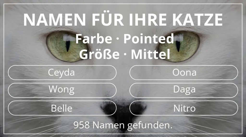 Katzennamen passend zu farbe pointed und größe mittel