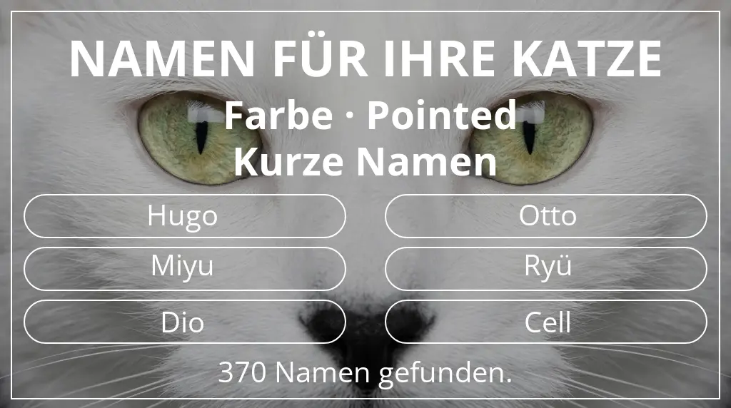 Katzennamen passend zu farbe pointed und namenslänge kurz (2–4)