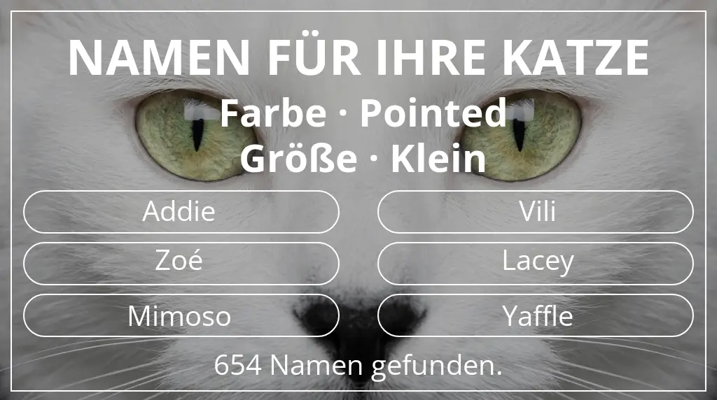Namen für Katzen passend zu farbe pointed und größe klein