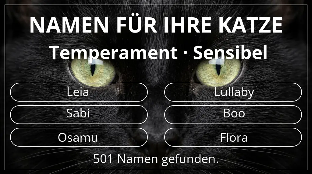 Namen für Katzen inspiriert von temperament sensibel
