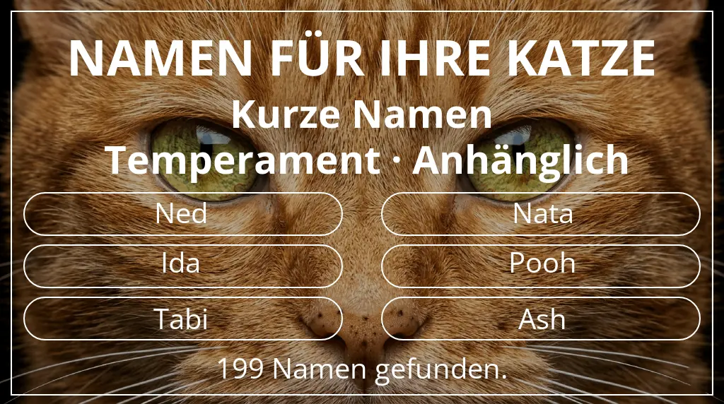 Katzennamen passend zu namenslänge kurz (2–4) und temperament anhänglich