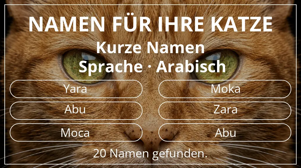 Namen für Katzen passend zu namenslänge kurz (2–4) und sprache arabisch