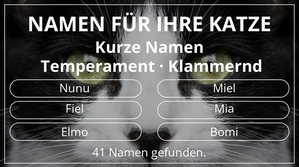 Katzennamen inspiriert von namenslänge kurz (2–4) und temperament klammernd