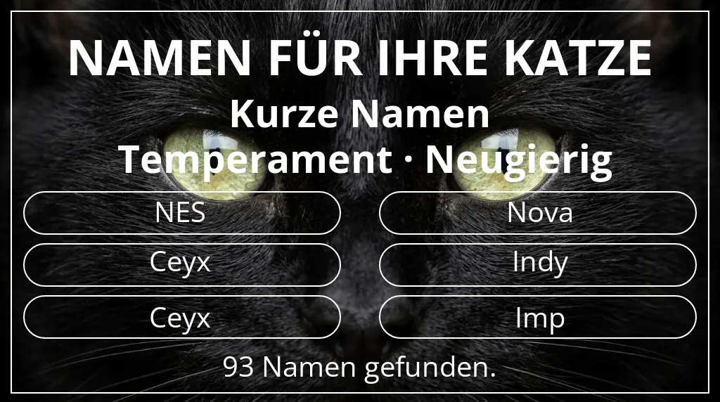 Katzennamen basierend auf namenslänge kurz (2–4) und temperament neugierig
