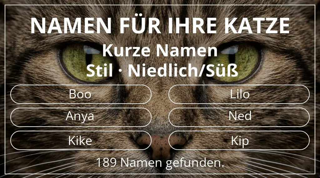Katzennamen basierend auf namenslänge kurz (2–4) und stil niedlich/süß