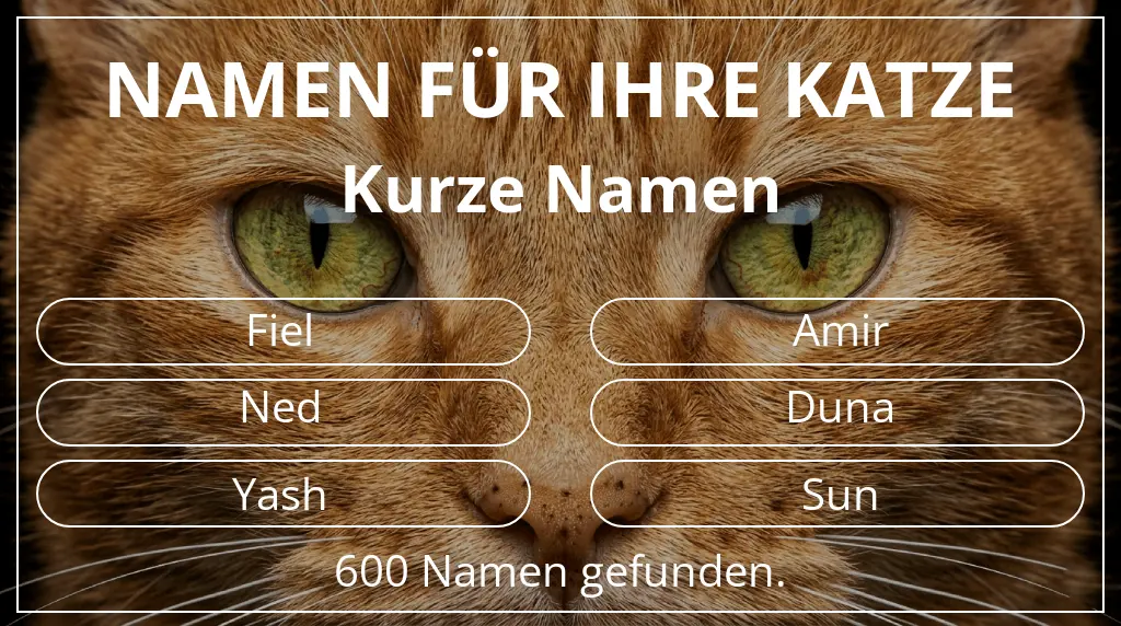 Namen für Katzen basierend auf namenslänge kurz (2–4)