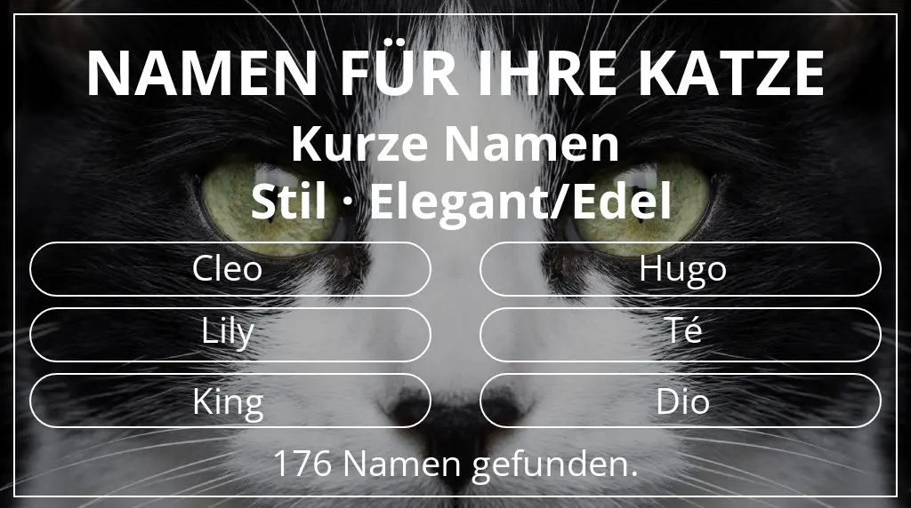 Namen für Katzen passend zu namenslänge kurz (2–4) und stil elegant/edel