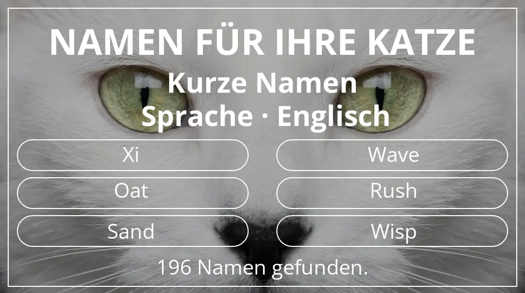 Katzennamen passend zu namenslänge kurz (2–4) und sprache englisch