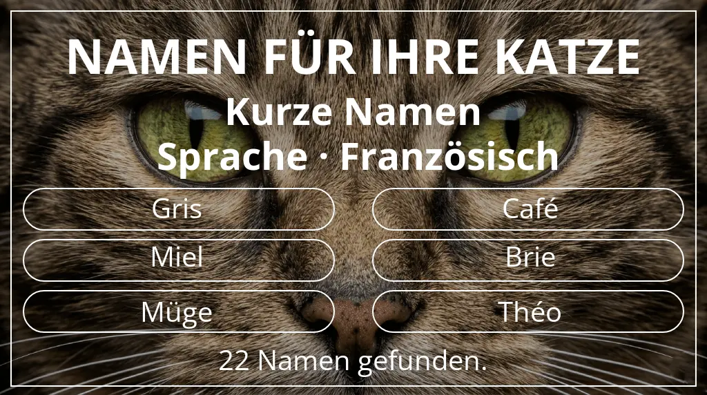 Katzennamen passend zu namenslänge kurz (2–4) und sprache französisch