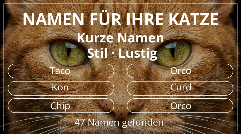 Namen für Katzen inspiriert von namenslänge kurz (2–4) und stil lustig