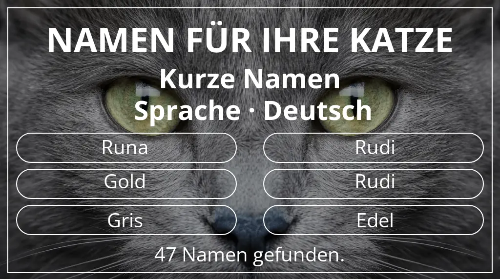 Katzennamen basierend auf namenslänge kurz (2–4) und sprache deutsch