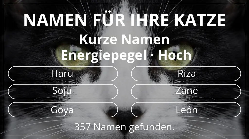 Katzennamen basierend auf namenslänge kurz (2–4) und energiepegel hoch