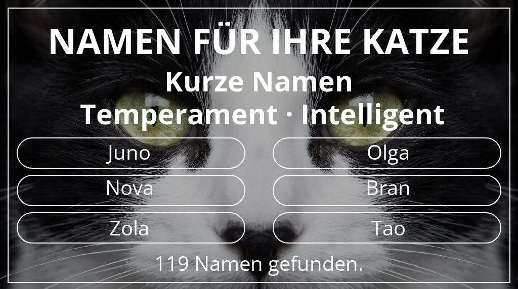 Namen für Katzen inspiriert von namenslänge kurz (2–4) und temperament intelligent