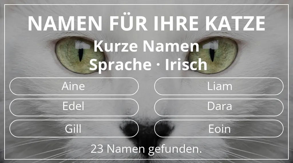 Katzennamen basierend auf namenslänge kurz (2–4) und sprache irisch