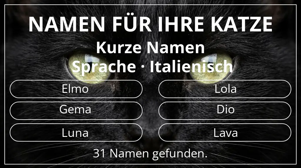 Katzennamen passend zu namenslänge kurz (2–4) und sprache italienisch