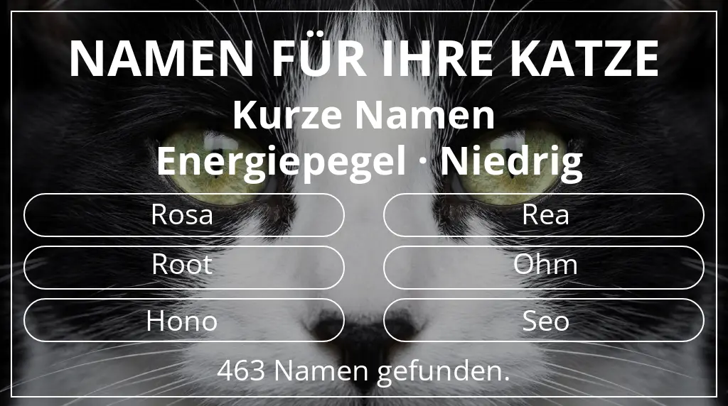 Namen für Katzen inspiriert von namenslänge kurz (2–4) und energiepegel niedrig