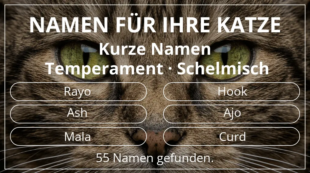 Katzennamen basierend auf namenslänge kurz (2–4) und temperament schelmisch