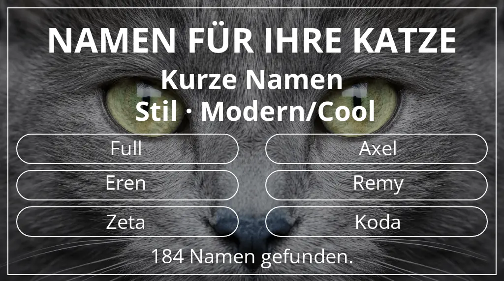 Katzennamen basierend auf namenslänge kurz (2–4) und stil modern/cool