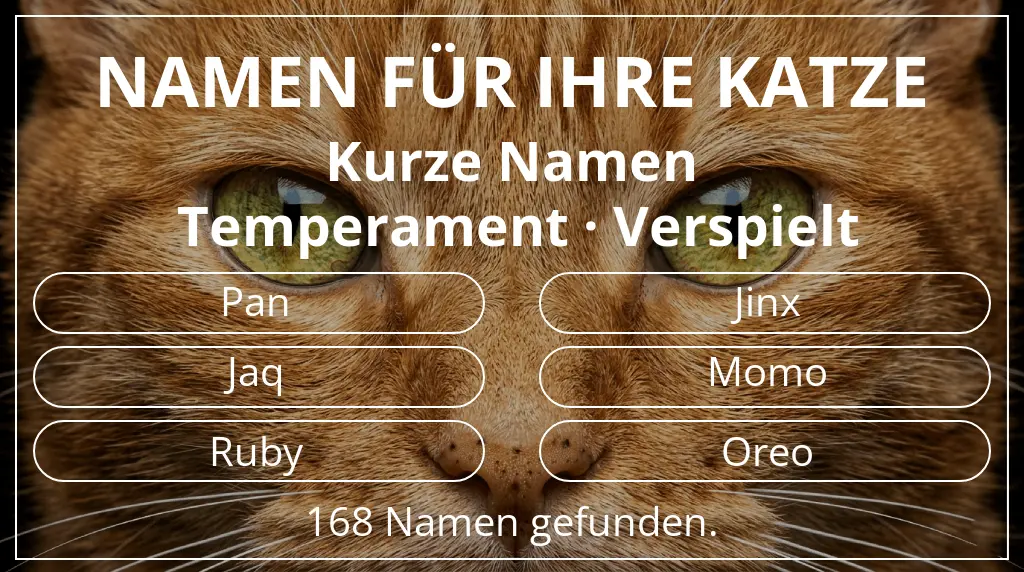Namen für Katzen passend zu namenslänge kurz (2–4) und temperament verspielt