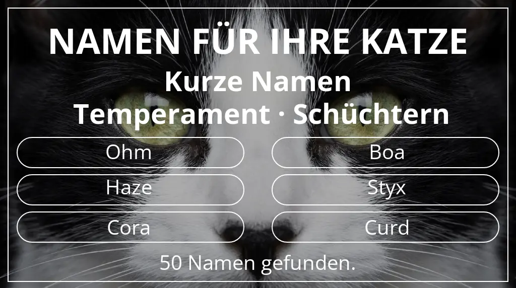 Katzennamen passend zu namenslänge kurz (2–4) und temperament schüchtern