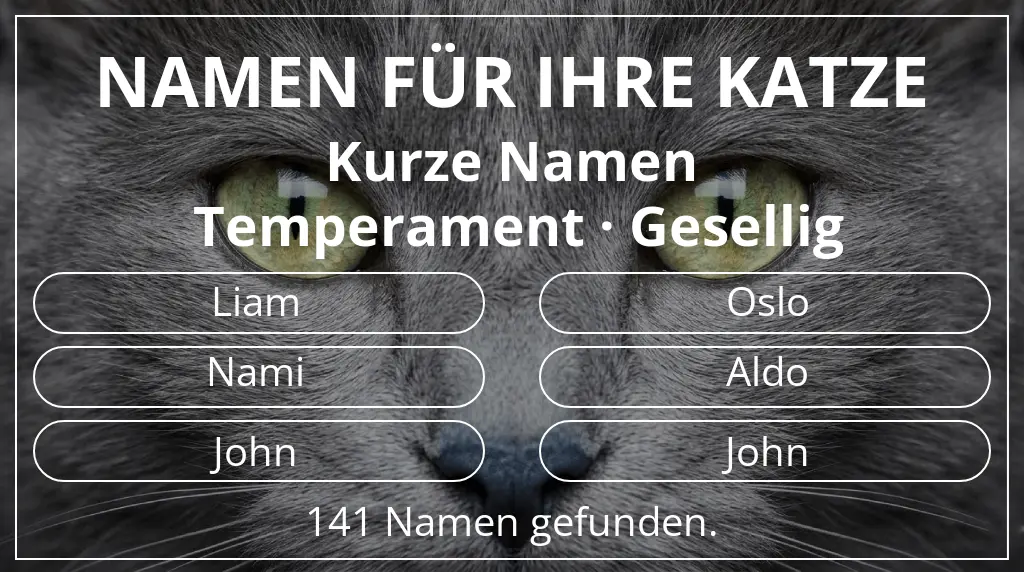 Katzennamen passend zu namenslänge kurz (2–4) und temperament gesellig