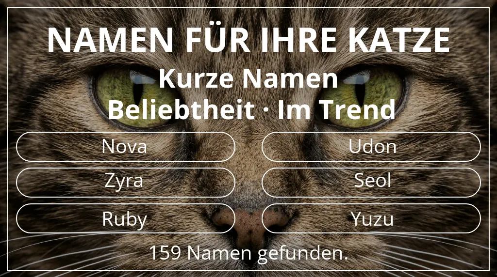 Katzennamen basierend auf namenslänge kurz (2–4) und beliebtheit im trend