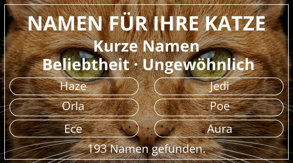 Namen für Katzen passend zu namenslänge kurz (2–4) und beliebtheit ungewöhnlich