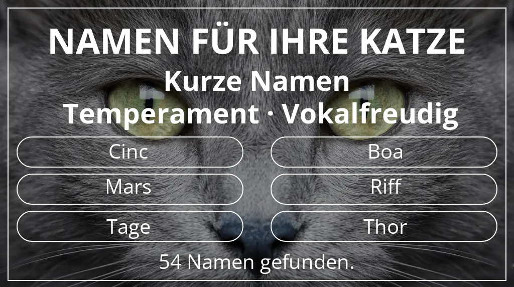 Katzennamen basierend auf namenslänge kurz (2–4) und temperament vokalfreudig