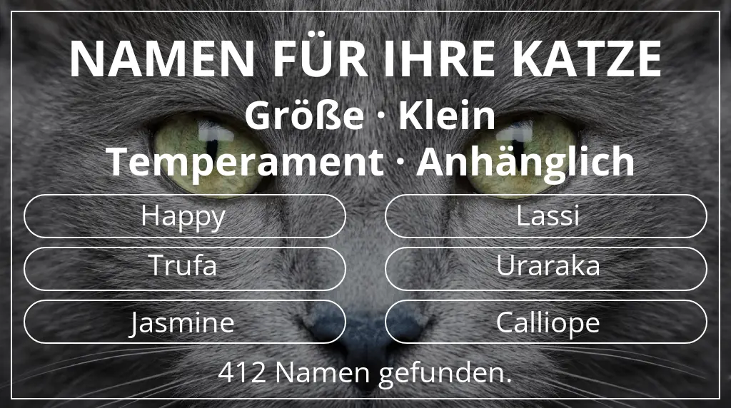 Katzennamen basierend auf größe klein und temperament anhänglich