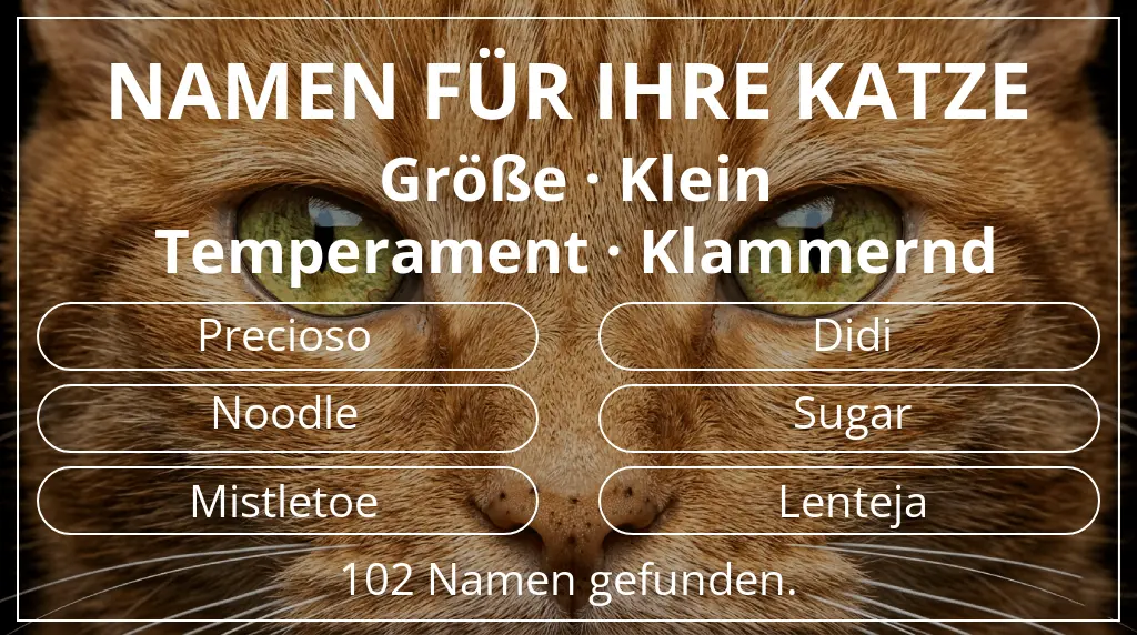Namen für Katzen basierend auf größe klein und temperament klammernd