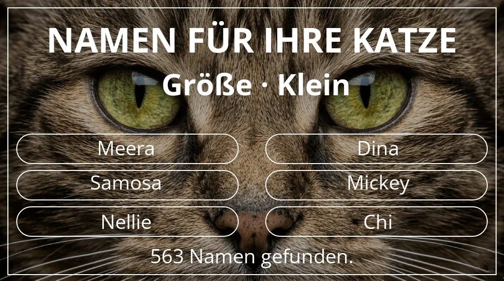 Katzennamen basierend auf größe klein