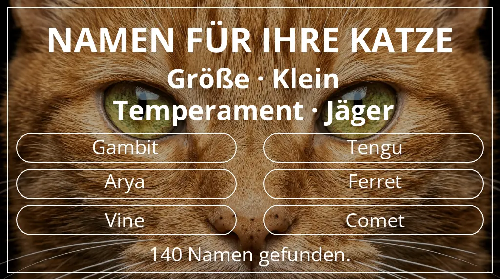 Namen für Katzen passend zu größe klein und temperament jäger