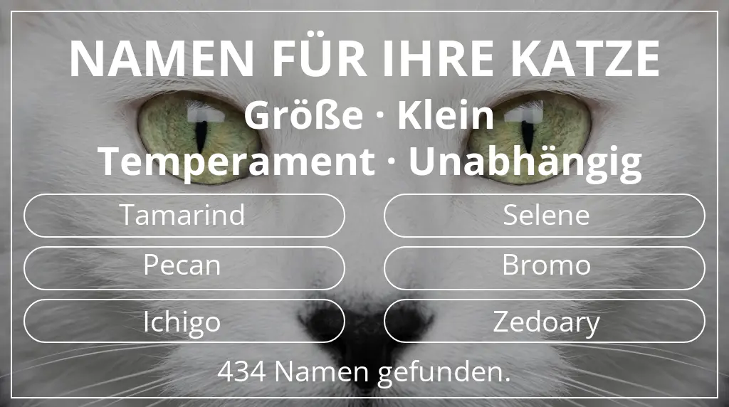 Namen für Katzen basierend auf größe klein und temperament unabhängig