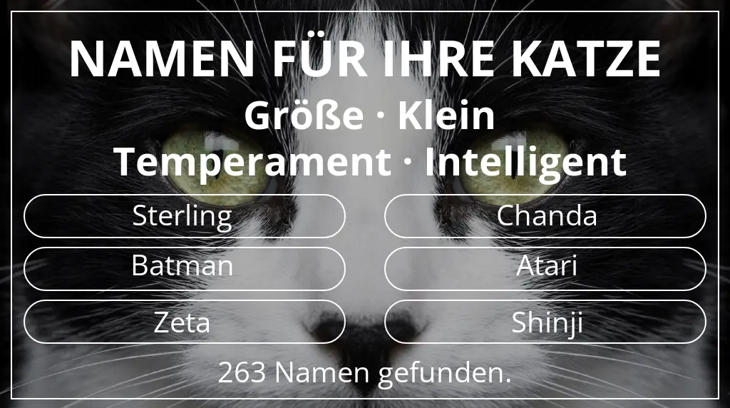 Katzennamen basierend auf größe klein und temperament intelligent